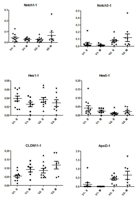 qRT-PCR을 통한 동맥경화증 진행에 따른 Notch1, Notch3, Hes1, Hes5, Cldn11, 그리고 ApoD 유전자 발현 확인 (II).