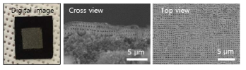 가스확산층 위 계층적 다공성 백금의 실사 및 전자주사현미경 이미지