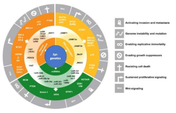 Cancer 의 Hallmark 들과 이와 관련된 에피제네틱 조절인자