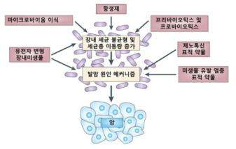 마이크로바이옴을 통한 암 제어 모델