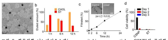 화물치환 나노바이오소재(cargo-switching nanoparticles, CSNP)의 물리화 학적 및 생물학적 특성