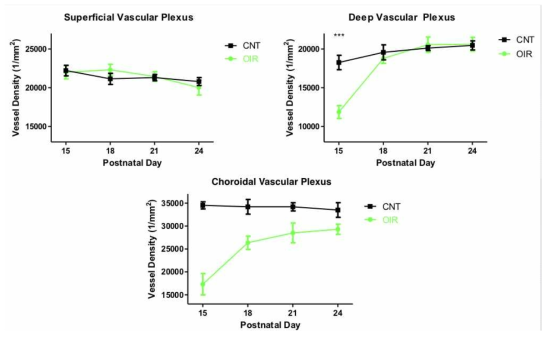 OIR 질병모델에서 각각 3개의 다른 vascular plexus의 시간에 따른 vessel density pregression.