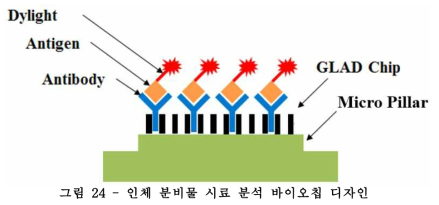 인체 분비물 시료 분석 바이오칩 디자인