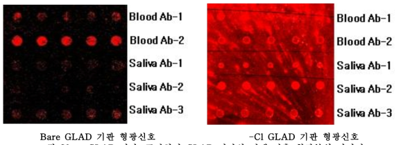 GLAD 기판, 표면처리 GLAD 기판상 정액 검출 형광분석 이미지