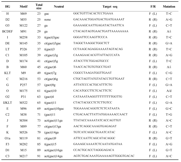 SBE primers for the detection of the 25 Y-chromosome DNA variations of multiplex set