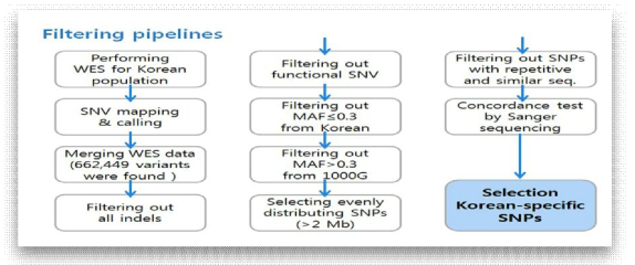 한국인 특이적 SNP 선별을 위한 대규모 유전체 데이터의 필터링 전략