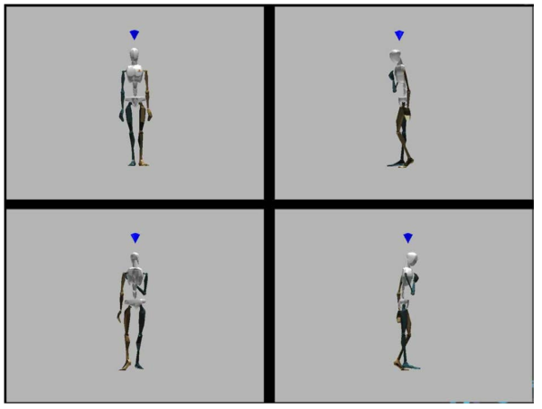 피시험자의 3D 모션 데이터 예