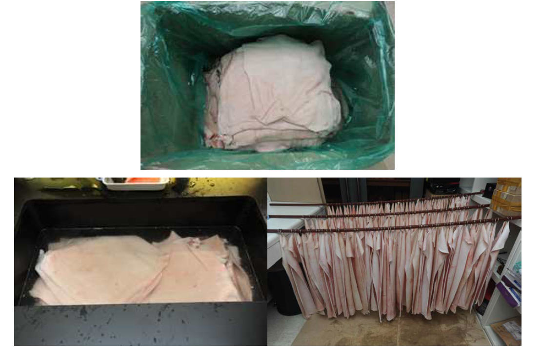 It is a figure that processes pig skin to make the same condition as human skin. It is processed in the following steps and shows the process of opening, washing and drying.