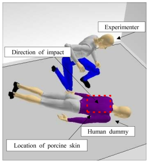 Through the 3D program, the experimenter visualized the posture of striking the specimen using a fist.