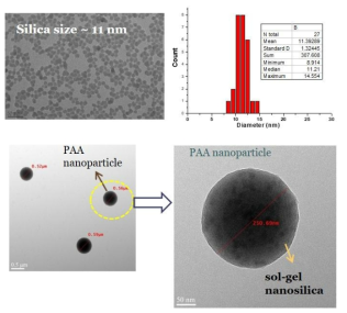 TEM 이미지 – Sol-gel 나노실리카 (상), PAA/silica 나노하이브리드 콜로이드 입자 (하)