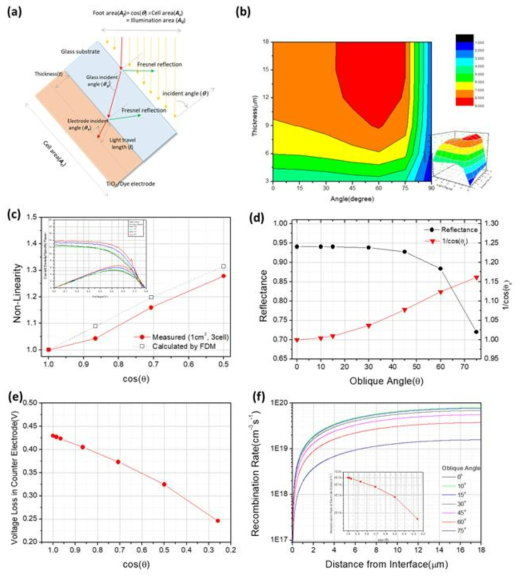 (a) 입사각에 따른 염료감응형 태양전지 표면에서 입사광 경로 변화. (b) FDM 계산으로 예측된 입사각과 광전극 두게 변화에 따른 효율 변화. c) 입사각 변화에 따른 비선형성 측정결과와 계산 결과 비교. (d) 입사각 변화에 따른 염료감응형 태양전지 표면 반사와 광전극 내에서의 광이동 경로 길이. (e) 입사각 변화에 따른 상대전극 over potential 변화. (f) 입사각 변화에 따른 광전극 내 재결합(recombination) 속도 변화 계산 결과.