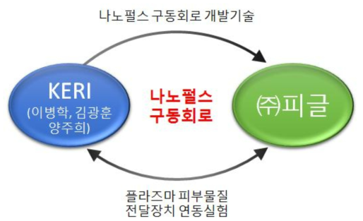 플라즈마 피부물질 전달장치용 나노펄스 구동회로 개발 추진 방법