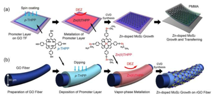 Metalloporphyrin을 seeding layer로 사용하여 rGO fiber 표면에 합성된 Zn가 도핑된 MoS2 나노시트의 개략도.