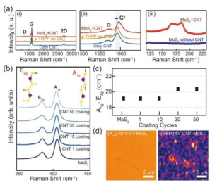 탄소나노튜브-MoS2 차원복합소재의 라만스펙트럼 분석결과.