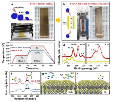 (a-b) 니켈 호일에 (NH4)2MoS4용액을 코팅한 후, 롤투롤 공정을 통해 MoS2를 연속적으로 합성하는 과정에 대한 모식도 및 실제 사진, (c) 롤투롤 공정을 통해 연속 합성된 MoS2의 합성 시간 변화에 따른 온도 조건 그래프, 합성 과정에서 수소 가스 주입 여부에 따른 MoS2의 (d) Mo 3d, (e) S 2p core level spectra, (f) 600도와 450도에서 연속합성된 MoS2의 라만 스펙트럼 (excitation wavelength: 514 nm), (g-h) 수소 가스 주입 여부에 따른 탈황 (desulfurization) 과정에 대한 모식도.