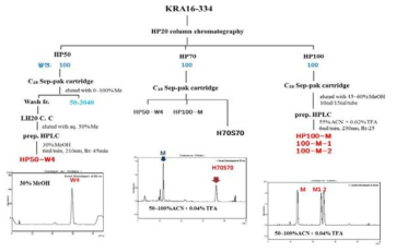 방선균 KRA16-334 배양액으로부터 유효 제초활성물질의 분리 정제