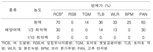 IUM00035 균주 배양여액의 7가지 식물 곰팡이병에 대한 in vivo 항균활성