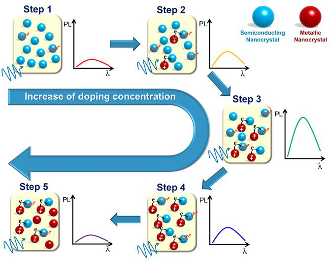 Schematic diagram for the mechanism of the increase of photo response time and photoluminescence quenching