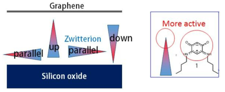 계산에 사용된 3가지 모델 configuration 그리고 Zwitterion 원자구조 (파란색 박스)