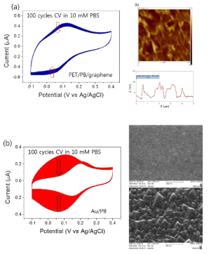 (a) cyclic voltammerty and AFM image of PET/PB/graphene electrode, (b) cyclic voltammerty and SEM images of Au/PB electrode.