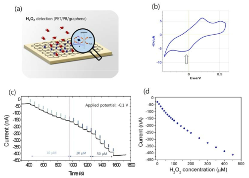 (a)schematic diagram of H2O2 reaction with PB/graphene electrode, (b) cyclic voltammerty of PB/graphene in 10 mM PBS, (c), (d) H2O2 response of PB/graphene with various concentration