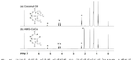 코코넛 오일을 이용한 아세틸화 모노글리세라이드의 1H-NMR 스펙트라