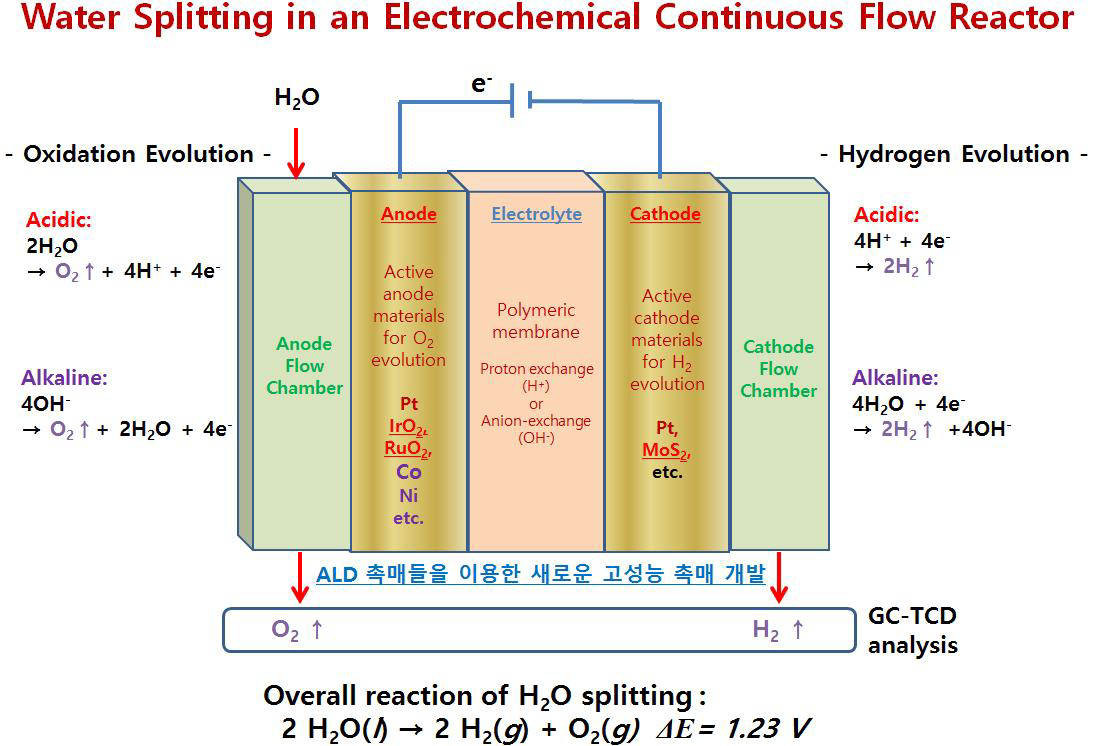 물 전기분해를 통한 수소 및 산소 생성을 위한 전기화학 촉매 반응 시스템 모식도