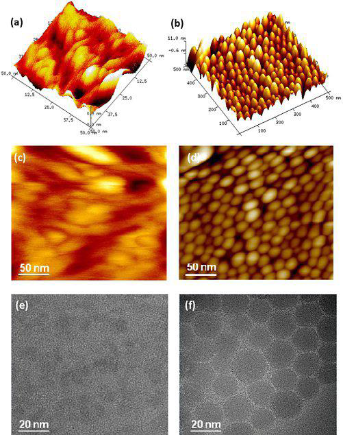 AFM 3D and roughness images of CNDs (a,c) and CNDSH (b,d) along with HRTEM of CNDs (e) and CNDSH (f).