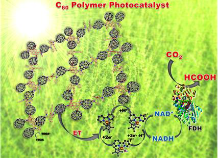 Schematic illustration of C60 polymer photocatalyst-enzyme coupled artificial photosynthetic system for efficient reduction of CO2 to formic acid exclusively(FDH= Formatedehydrogenase, ET = ElectronTransfer, NAD+ =Nicotinamide adenine dinucleotide, NADH = Reduced nicotinamide adenine dinucleotide, TEOA = Triethanolamine).