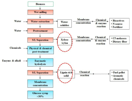 KrictBiosugar Process and its by-products (red dotted line)