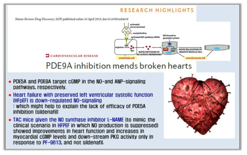 Review of PDE9A-1 in hearts