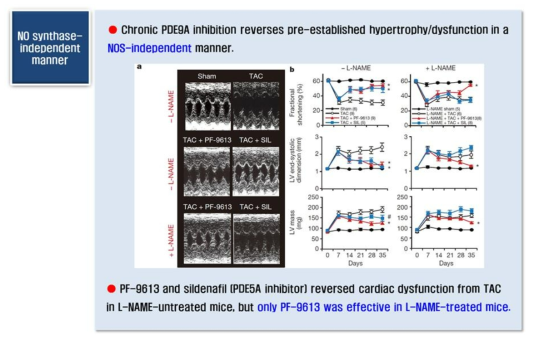 Effect of PDE9A inhibitor in L-NAME treated TAC mice-2