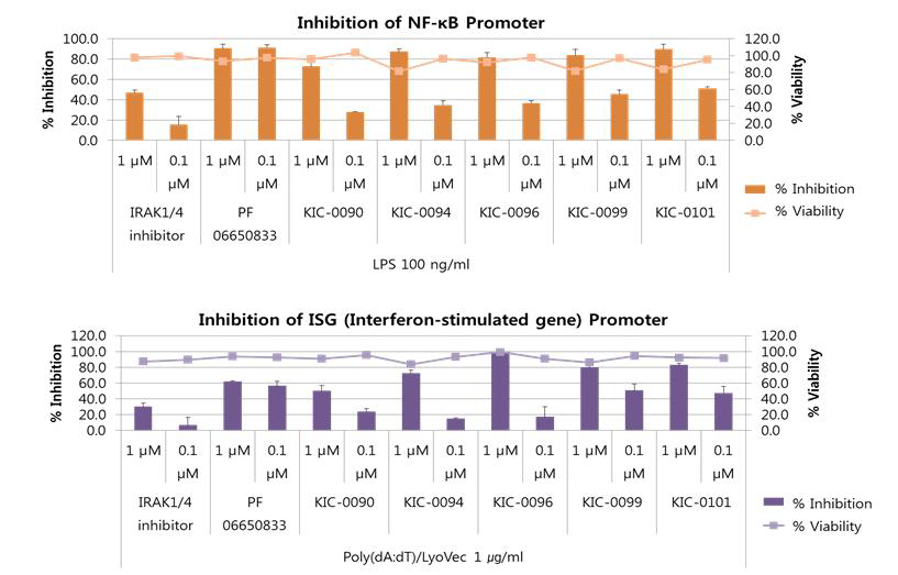 IRAK 4 저해제들의 NFκB 및 ISG promoter활성 저해효과