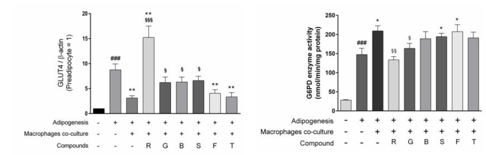 다양한 PPARγ antagonists의 GLUT4 발현 및 G6PD enzyme activity
