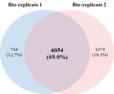 iTRAQ으로 표지된 2차원 및 3차원 지방세포들의 bio-replicate들을 통하여 규명된 단백질의 venn diagram