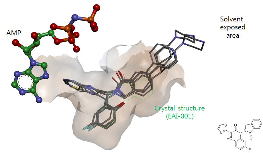 EGFR T790M/C797S allosteric inhibitor 결합 예상도