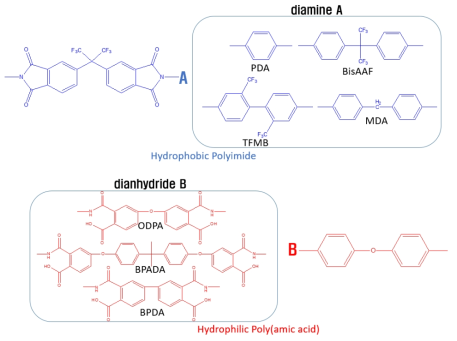 Hydrophobic 폴리이미드 및 hydrophilic 폴리아믹산의 화학구조