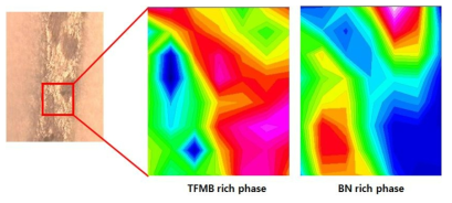 BPDA-TFMB, BPDA-ASD PI 및 DBN 복합화 필름의 단면 분석