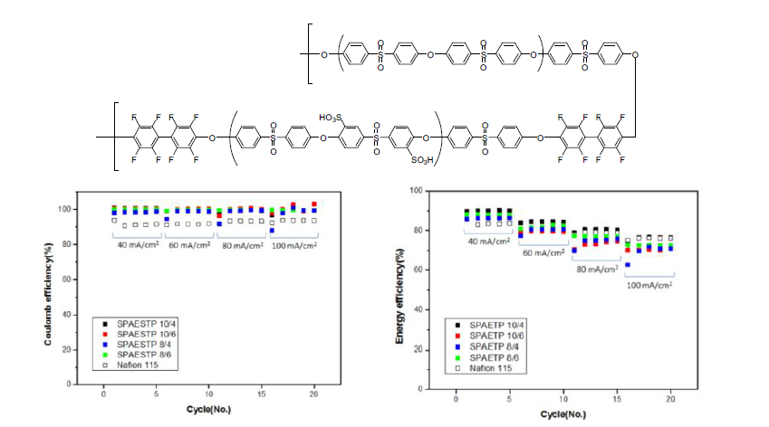 술폰화 폴리에테르술폰 멀티블록 공중합체 및 VRFB성능