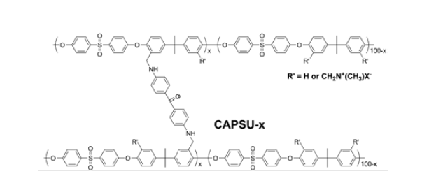 CAPSU-x 고분자