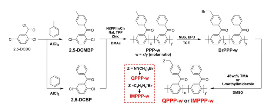 polymer의 합성 scheme