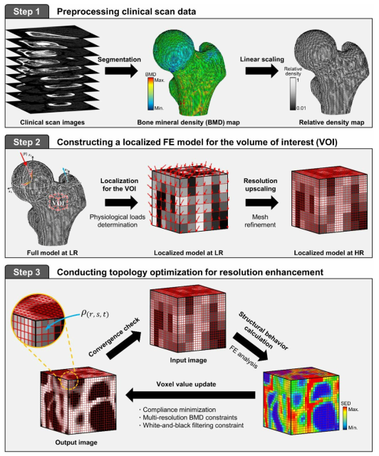 Schematic procedure of the topology-optimization based resolution enhancement for reconstructing trabecular bone