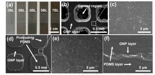 (a) Photograph of graphene-coated PMMA films formed by LbL assembly. (b) SEM image of the graphene-coated (3 BLs) PMMA film. (c) High-magnification SEM image of the graphene surface in the boxed area in (b). (d) SEM image of the graphene layer transferred onto the PDMS substrate. (e) High-magnification SEM image of the graphene surface layer in the boxed area in (e). (f) Cross-sectional SEM image of the graphene layer placed in between two PDMS layers