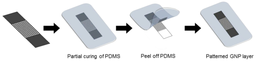 Overall procedure of transferring GNP layer to PDMS