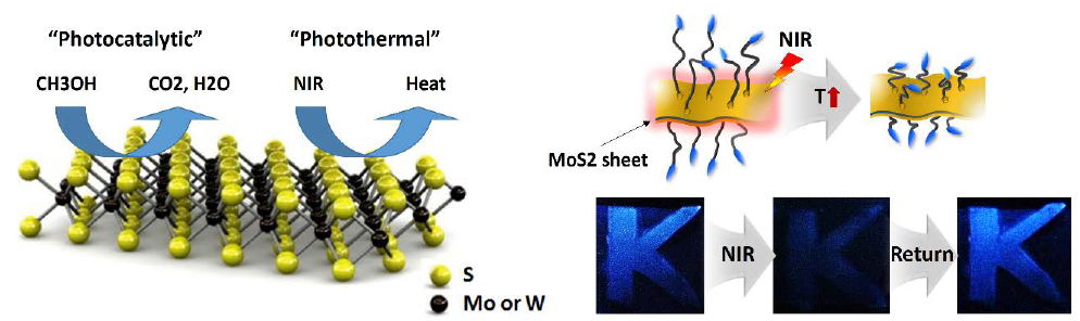Scheme of MoS2 sensing platform that provides photocatalytic and photothermal properties