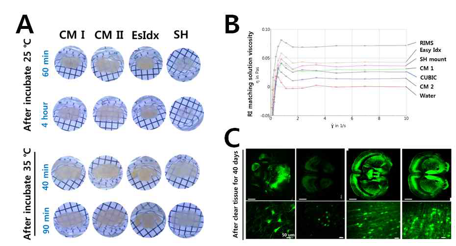 기존 보고된 뇌투명화 기술의 단점을 보완하기 위해 새로운 용액(CM I, II)을 개발하였으며 1 mm 두께의 뇌조직은 35℃에서 90분만에 투명화가 됨을 확인함(A). 이미지를 획득하기 위한 기존 RI Solution의 viscosity를 낮추기 위해 수용성에 가깝게 Viscosity를 낮추었음 (B). 또한, 용액의 조성에 따른 형광의 세기 변화를 측정한 결과 40일 후에도 형광이 잘 남아 있다는 것을 확인함(C)