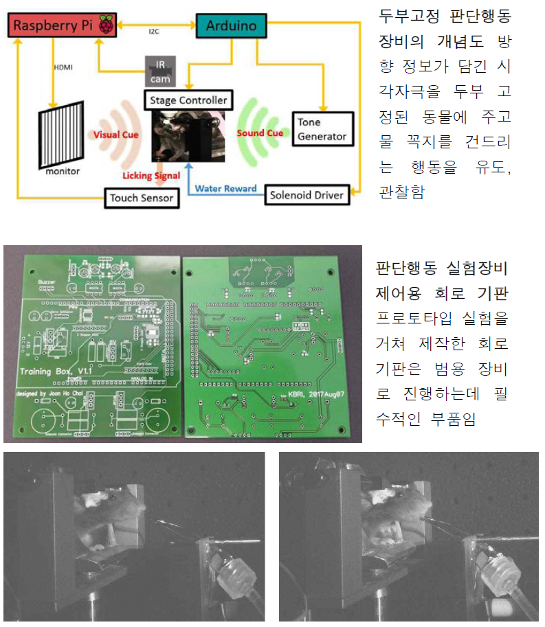 개발이 완료된 두부고정 자극 및 판단 행동 장비에서 행동관찰용 적외선 카메라로 촬영한 사진