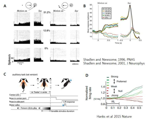 ] Perceptual decision making과정 중 후두정 피질의 활성.