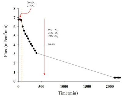 SDC-SSCF Coated BSCF 중공사막 (3회 코팅) 산소투과도