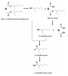 Bis (2-ethylhexyl) adipate의 분해에 따른 중간산물